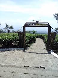 Maybe you would like to learn more about one of these? Bukit Kuneer Eksotisme Lain Dari Perkebunan Teh Wonosari Lawang Halaman 1 Kompasiana Com
