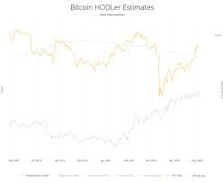 During the third halving event in may 2020, bitcoin's price was about $9,000. Willy Woo On Twitter Whalebreedingseason Whale Population Spotted Increasing In The Wild They Ve Been In Solid Accumulation Mode Since January Unperturbed By The Covid Crash This Is Macro Bullish Whales Are Entities