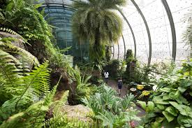 Encounter over 1,000 tropical butterflies from as many as 40 species during the different seasons of the. Butterfly Garden Changi Airport Changi Singapore Changi Airport Singapore Travel