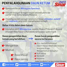 7 bahaya minum air daun ketum kepada kesihatan tubuh badan. Mr Kah Hau Wat On Twitter Masuk Muka Depan Paper Kosmo Online Isu Tanam Ketum Up Ungkit Balik Nak Bersaing Dgn Thailand Tanam Ganja Ke Kah Https T Co 9dyxl9q59v Twitter