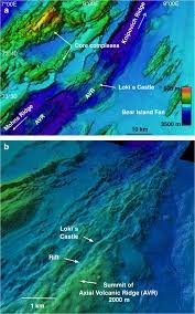 An important structure builder in an arctic vent system. Discovery Of A Black Smoker Vent Field And Vent Fauna At The Arctic Mid Ocean Ridge Nature Communications