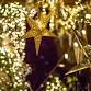 Winter Lights - Advance Registraion event in Chaska, MN