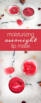 Moisturizing Overnight Lip Mask Humblebee Me Diy Lip Mask Lip Mask Diy Lips