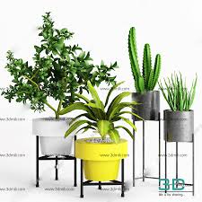 297 Plant 3dsmax Model Free Download 3d Mili Download 3d Model Free 3d Models 3d Model Download Plants Model Free Download