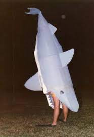 Seorang penduduk tempatan berjaya merakamkan gambar seekor jerung melompat di belakang peluncur dan perenang di new south wales, australia. 7 Kostum Jerung Ideas Jerung Buli