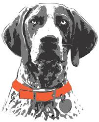 Rimadyl for dogs is a prescription medication most often prescribed for osteoarthritis pain in dogs. Rimadyl Side Effects In Dogs Carprofen Side Effects In Dogs