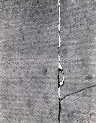 Bildergebnis für Maria Laet