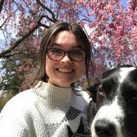 When You See Me by Lisa Gardner