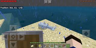 What Do Dolphins Eat? - Whale And Dolphin Conservation