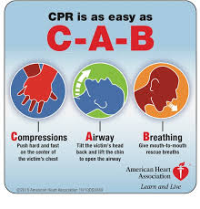 Emergency Medicine Blog 2010 Aha Guidelines On Ecc And Cpr