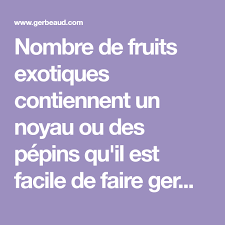 Nombre De Fruits Exotiques Contiennent Un Noyau Ou Des Pepins Qu Il Est Facile De Faire Germer En Interieur Avocat Litchi Datt Fruits Exotiques Pepin Noyau