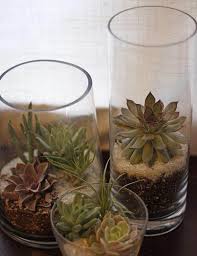 This indoor succulent planter idea is probably one of the planters i've created that i'm most proud of. 15 Best Indoor Succulent Planting Ideas That Can Beautify Your Home Balcony Garden Web
