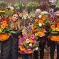Copy of Pumpkin Floral Arranging class event image