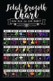 Fetal Growth Chart How Big Is My Baby Tulamama