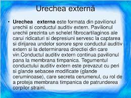 Semne de afectare a structurilor din urechea internă (care pot fi determinate în cadrul. Ppt Ana Lizator Acustico Vestibular Powerpoint Presentation Free Download Id 5942523