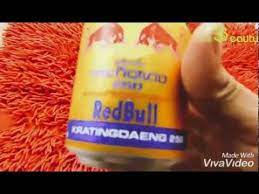 Padahal candling sangat penting untuk memastikan apakah telur yang. Obat Kuat Raja Malam Jum At Kratingdaeng Vs Telur Youtube