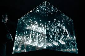 Image result for Exotheca