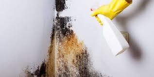 Banyoda oluşan kötü kokuların en önemli sebebi lavabo, klozet ya da jakuzi giderlerinin tıkalı olmasından kaynaklanmaktadır. Kuf Kokusuna Ne Iyi Gelir Kuf Kokusu Nasil Giderilir Kuf Kokusu Icin Cozumler