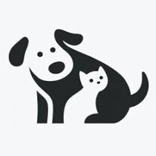 Fip Le Ilgili Dogru Bilinen Yanlislar Ada Veteriner Poliklinigi