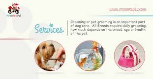 You can wash your pet, get nutritional advice and share funny pet stories. Pin On Pet Grooming Near Me