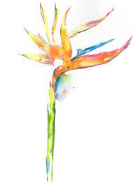Birds Of Paradise Birds Of Paradise Painting Hawaii Art Etsy Birds Of Paradise Flower Paradise Painting Watercolor Bird