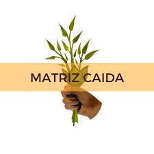 Matriz Caida Indigemama Ancestral Healing
