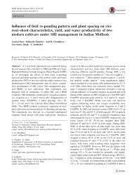 Pdf Influence Of Field Re Ponding Pattern And Plant Spacing On Rice Root Shoot Characteristics Yield And Water Productivity Of Two Modern Cultivars Under Sri Management In Indian Mollisols