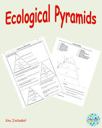 Ecological Pyramids In 2020 Ecological Pyramid Ecology Lessons Distance Learning