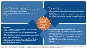 Going The Distance: Online Strategies For Helping Students With Disabilities