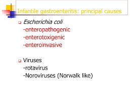 Symptoms may include diarrhea, vomiting and abdominal pain. Ppt Gastroenteritis In Children Powerpoint Presentation Free Download Id 1713113