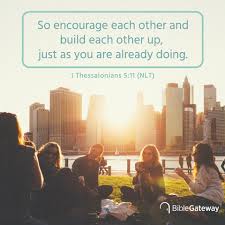 Philippians colossians 1 thessalonians 2 thessalonians 1 timothy 2 timothy titus philemon hebrews james 1 peter 2 peter 1 john 2 john 3 john jude revelation. Facebook