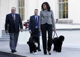 Former president barack obama's dog, bo, died saturday, may 8, 2021, after a battle with cancer, the obamas said on social media. Hardly A Dog S Life For Obama S Pets Bo And Sunny Lifestyle Chinadaily Com Cn