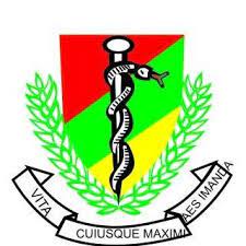 Nigerian army ranks logo and more. Nigerian Army Medical Corps Home Facebook