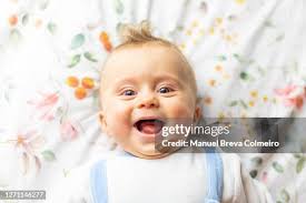 57 Manuel Alegre Stock Photos, High-Res Pictures, and Images