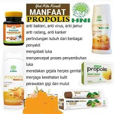 Propolis Di Hni Hpai Resep Sehat Jamur Resep