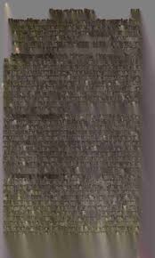 Image result for Ixora longipedunculata