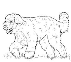We're pleased to present a whole bunch of coloring pages for you to print and color for free! Portuguese Man O War Coloring Pages Free Print And Color Online