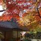 "Kunen-an" Autumn Public Opening event image