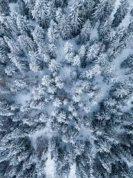 Ipad Wallpapers 90 Best Free Ipad Wallpaper Wallpaper Background And Ipad Background Photos On Unsplash