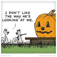 Have You Put Up Your Halloween Decorations Yet Muttsofinstagram Pumpkins Fall Autumn Jackolantern Mutts Comics Fun Comics Halloween Facts