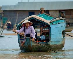Fungi are actually more closely related to the animal kingdom than the plant kingdom (kombucha mushroom people!!). Vietnamese Cambodians Wikiwand