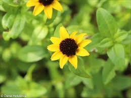 Image result for foto Vitálka