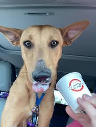 Scooter's Coffee added a new photo.