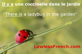 This section contains the 3 previous sentences, plus 3 new sentences. Il Y A Lawless French Expression Essential French Il Ya
