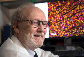 Priscilla Goode's Instagram, Twitter & Facebook