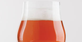 Carry On Citrus Ale Recipe Primary Image Ipa Recipe Pumpkin Ale Craft Beer Brewing