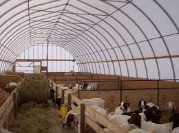 Livestock Shelters Multi Shelter Solutions Sheep Shelter Livestock Shelter Goat Shelter