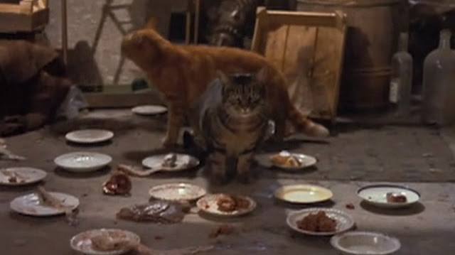 The Wrong Box (1966) - Cinema Cats