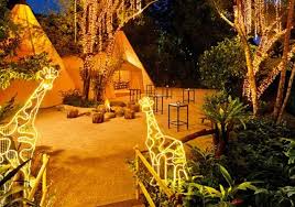 Night safari zoo is spread over 40 hectares and is next to the singapore zoo. Safari Animal Observation Night Safari Ticket Singapore