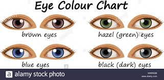 Different Eye Colors Human Stock Photos Different Eye